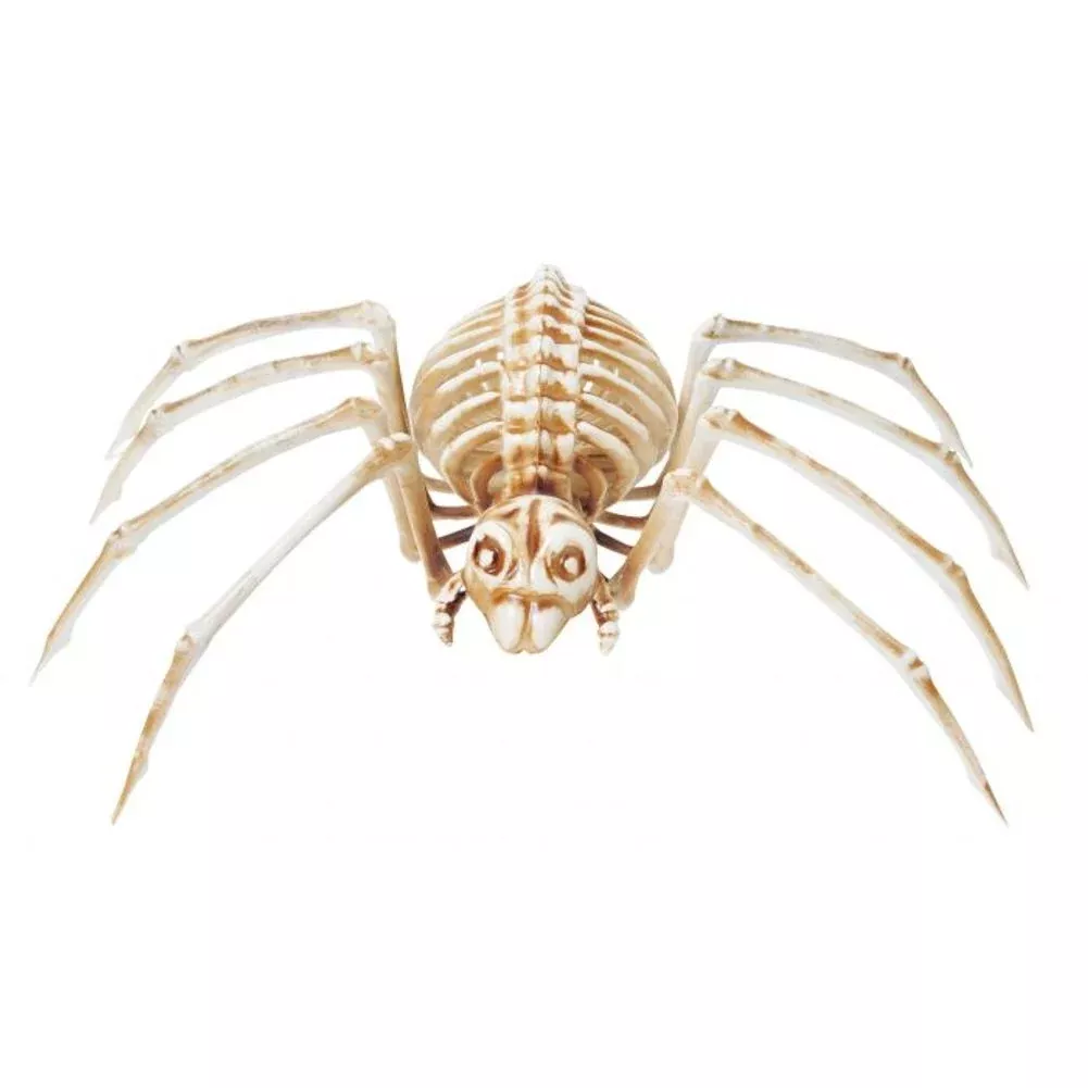 14" Skele-Spider