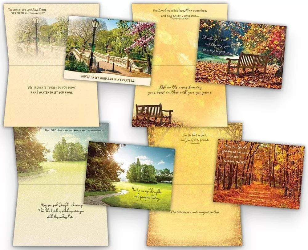 Pathways- Thinking of You Cards - Boxed Greeting Cards