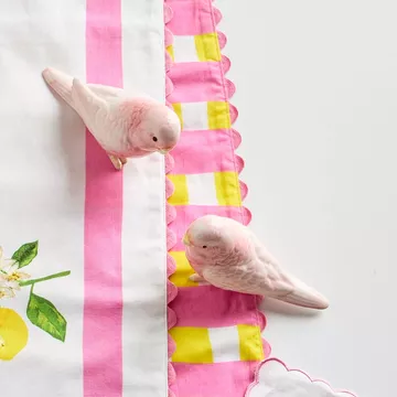 raz-7-25-set-2-pink-parrot-spring-or-summer-decoration-4610246 Raz 7.25" Set of 2 Pink Parrot Spring or Summer Decoration 4610246