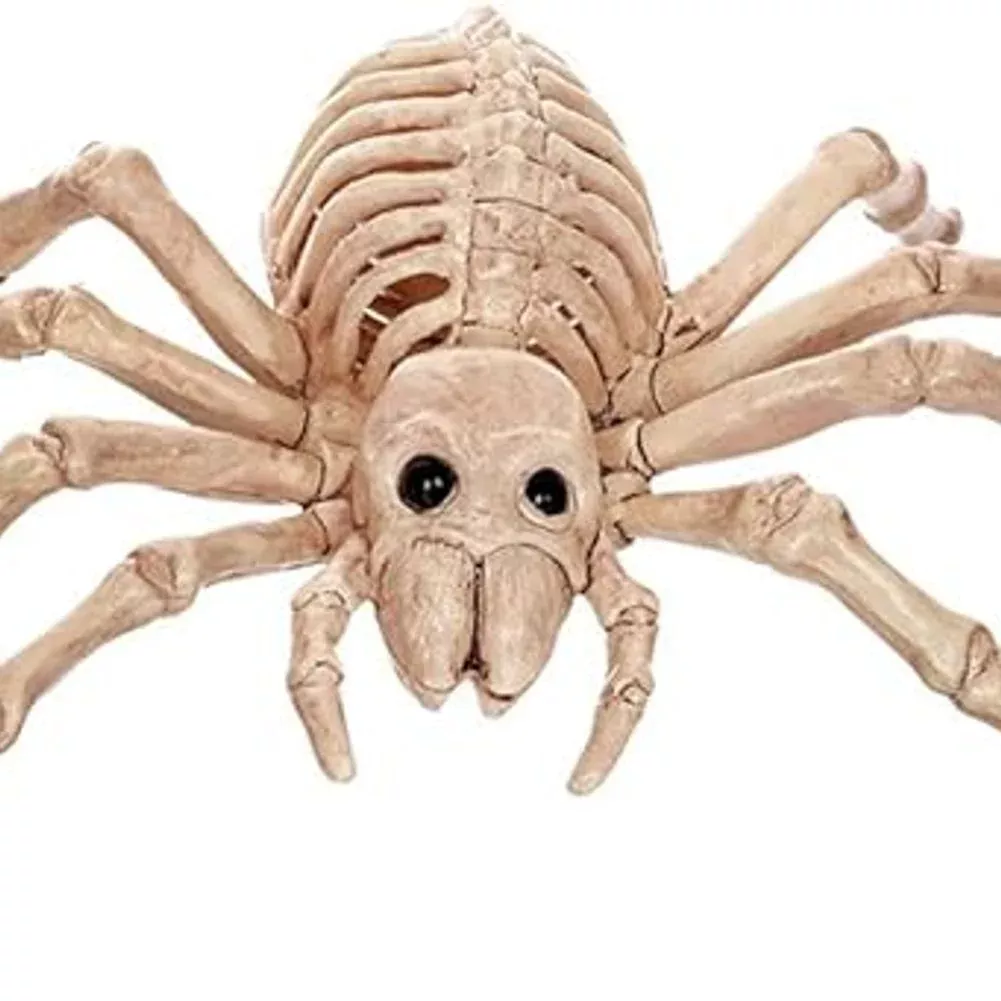 Skeleton Small Spider