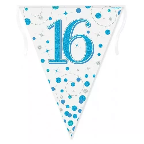 sparkling-fizz-blue-16th-birthday-flag-banner Sparkling Fizz Blue 16th Birthday Flag Banner