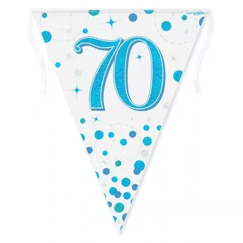 Sparkling Fizz Blue 70th Birthday Flag Banner