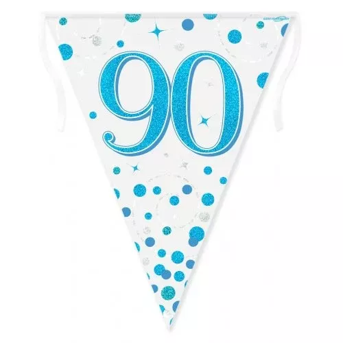 Sparkling Fizz Blue 90th Birthday Flag Banner